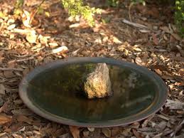 Giving plants a lovely warm glow, they will also protect surfaces from water damage. Spun Copper Dish Mini Gardening With Angus