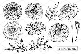 Maribeth Crowell (maribethcrowell)