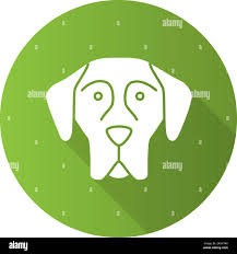 Great dane icon Cut Out Stock Images & Pictures