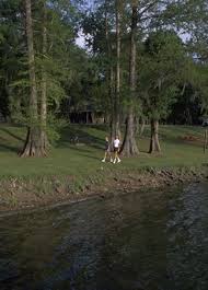 The silver hill address is for the pinckney recreation area headquarters. Lake Bruin State Park State Parks Lake Country Roads