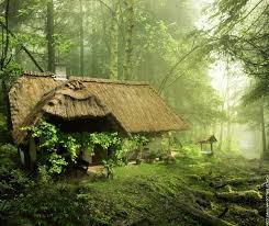 Dark green aesthetic nature aesthetic witch aesthetic cottage in the woods cabins in the woods house in the woods forest house house trees forest cottage. Top 10 Most Peaceful Cottages Forest Cottage Dream Cottage Cottage In The Woods