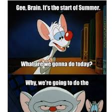They're pinky and the brain / yes, pinky and the brain / one is a genius, the other's insane / they're laboratory mice, their genes have been spliced / they're pinky, they're pinky and the brain brain brain brain, brain brain brain brain / before each night is done, their plan will be unfurled / by the dawning of the sun, they'll take over the world! Meme Pinky Quotes Quotesgram