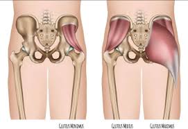 Stand and lift your right leg, knee bent, and press up onto the ball of your left foot (a). Unlock Your Hips And Activate Your Glutes Posturepro