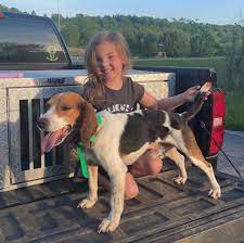 Check spelling or type a new query. Maryland Beagle Association Home Facebook