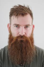 Pin On Awesome Beards And Hair Styles