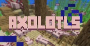 You can summon the blue one by doing /summon. Axolotls Minecraft Texture Pack
