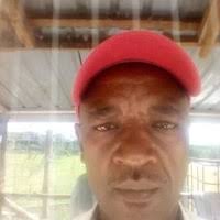 Randy Krantz Email & Phone Number