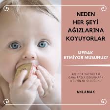 tadina bakmak icin degil daha cok dokunabilmek icin her seyi agizlarina aliyorlar gercekler bebek hamilelik