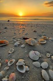Ismertek csendesebb tengerparti részt bled (szlovénia) közelében? Lignano Jesolo Bibione Toszkana Olaszorszag Tengerpart Olasz Tengerpart Olasz Nyaralas Olasz Szallas A Beautiful Beaches Marco Island Beach Sea Shells