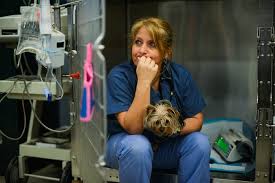 Whether you want medical information on you pet's condition or you want to. Inside The Animal Medical Center In New York City
