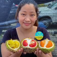 3 colours of durian flesh. Which one is your favourite? #sabah #malaysia  #borneo #durian #fruit #dalit #sukang