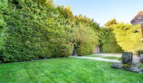 However, texas global provides the below suggestions to help you in your. Photos Steve Austin Selling One Of His Homes Near La Wrestling Inc