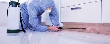 Top pest control services in los angeles, ca. Pest Control Yarralumla 02 6188 7105 1 Best Spiders Pest Control