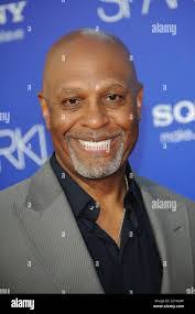 Jesse Pickens's Instagram, Twitter & Facebook