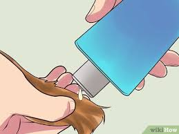 Verplank's favorite tool is a curved back slicker brush. How To Untangle Severely Matted Hair With Pictures Wikihow
