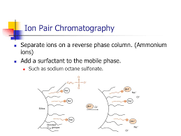 How To Separate Nucleotides Using Ion-Paired Reverse Phase Hplc