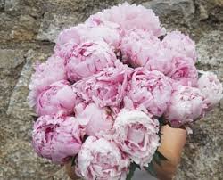 Weekly Monthly Flower Bouquet Delivery L Flower Subscriptions Ireland