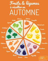 Epingle Sur Illustrations Potager