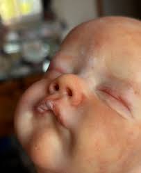 Carta riciclata arrotolata Altezza 50 cm e 20 cm circa