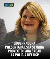 Seis meses después de convertirse en inversionista residente en Puerto  Rico, Suresh Gajwani registró a SGNG Foundation Corp., una organización sin  fines de lucro que recibió al menos $150,000 en donativos otorgados