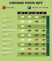 7 best horse racing betting and terms images horse racing