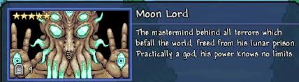 And That'S How I Defeated The Moon Lord : R/Terraria