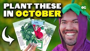 🍅 LIVE: Raised Bed Giveaway Drawing & National Gardening Day Celebration  (REPLAY) 👩🏻‍