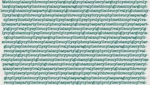 The Top 10 Longest Words In The English Language Longest Word In English Longest Word In The English Language Longest Word