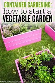 How To Start A Vegetable Garden In Containers Container Gardening Is Actuall Starting A Vegetable Garden Growing Vegetables In Containers Container Vegetables