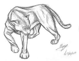 Sketch Panther Animal Drawings Sketches Animal Sketches Animal Sketches Easy