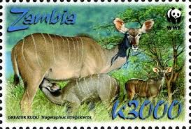 Stamp Greater Kudu Tragelaphus Strepsiceros Zambia Wwf Greater Kudu Mi Zm 1607 Yt Zm 1393 Wad Zm006 08 Sellos Filatelia Animales