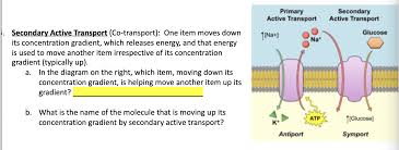 The company has one location. Solved Primary Active Transport Secondary Active Transpor Chegg Com