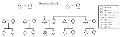 File Hawaiian Kinship Chart Svg Wikimedia Commons