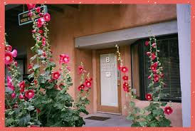 Maybe you would like to learn more about one of these? General Dentist Santa Fe New Mexico Dental Checkups Smiles Of Santa Fe