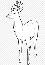 Elch Rentier Malbuch Zeichnen Hirsch Png Herunterladen 642 1280 Kostenlos Transparent Tierwelt Png Herunterladen
