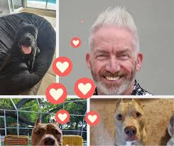 Shane Warth for Dunedin Commission