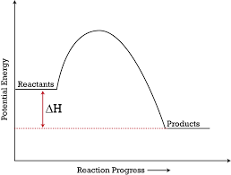 Some of the worksheets displayed are potential energy diagram work answers, chemistry 12 work 1 2, workbook, potential energy diagram work, 8th grade science energy unit information, electric. Potential Energy Diagrams Ck 12 Foundation