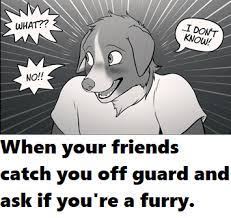 Pin By Kitty Chrisman On Lol Furry Comic Anthro Furry Furry Fan
