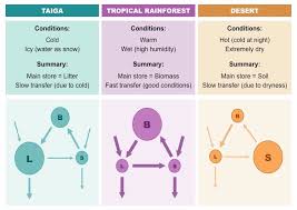 Ecosystem Analysis Bioninja