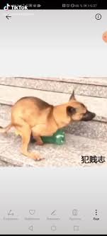 Молодые секс полторашку))) porn video on BrownPorn