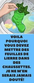 Voila Pourquoi Vous Devez Mettre Des Feuilles De Lierre Dans Des Chaussettes Je Ne M En Serais Jamais Doute Astuces Trucs Et Astuces Maison Rangement Ch