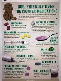 Pin By Katrina Waterhouse On Schnauzers Baby Aspirin For Dogs Aspirin For Dogs Pet Hacks