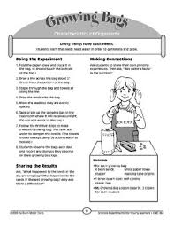 Germinating seeds in a bag is a fun way for kids to view how seeds transform into plants right before their eyes. Growing Seeds In Bag Worksheets Teaching Resources Tpt