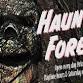 Haunted Forest event image