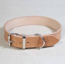 Maybe you would like to learn more about one of these? 15 Amazing Leather Dog Collars From Australian Creatives Dogs Of Australia