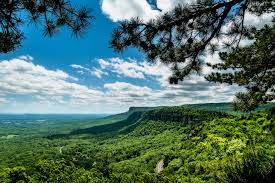 Research Report 41 — Natural Values of The Mohonk Trust Lands | by Mohonk  Preserve | Medium