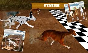 To install greyhound (us) on your windows pc or mac computer,. Greyhound Dog Racing 3d Apk 1 1 Download For Android Download Greyhound Dog Racing 3d Apk Latest Version Apkfab Com