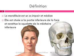 La définition de mandibules dans wordow dictionnaire est aussi: La Mandibule La Mandibule 2eme Annee Chirurgie Dentaire Dr Soussa Ppt Video Online Telecharger