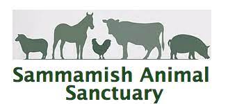 Check spelling or type a new query. Sammamish Animal Sanctuary