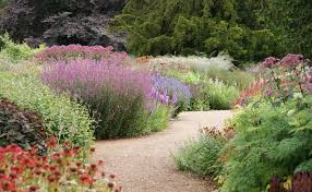 12 Beautiful Piet Oudolf Garden Design Ideas For Summer Teracee Dutch Gardens Garden Design Prairie Planting